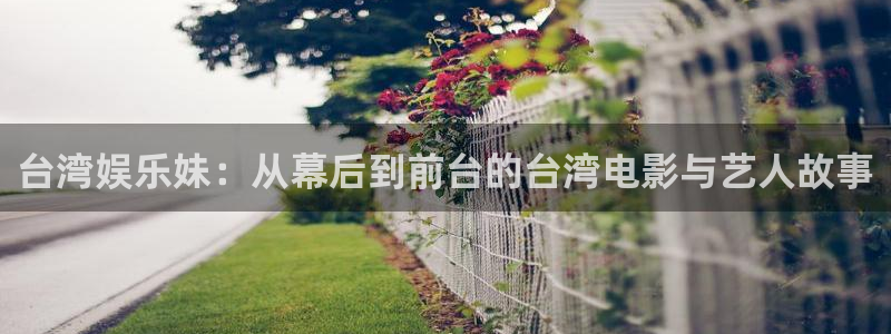 南宫大舞台官网入口：台湾娱乐妹：从幕后到前台的台湾电影与艺人故事