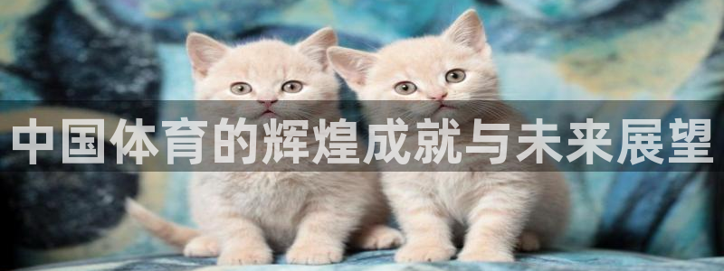 NG大舞台：中国体育的辉煌成就与未来展望