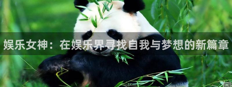 南宫大舞台：娱乐女神：在娱乐界寻找自我与梦想的新篇章