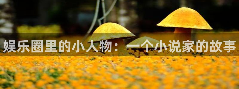 南宫大舞台：娱乐圈里的小人物：一个小说家的故事