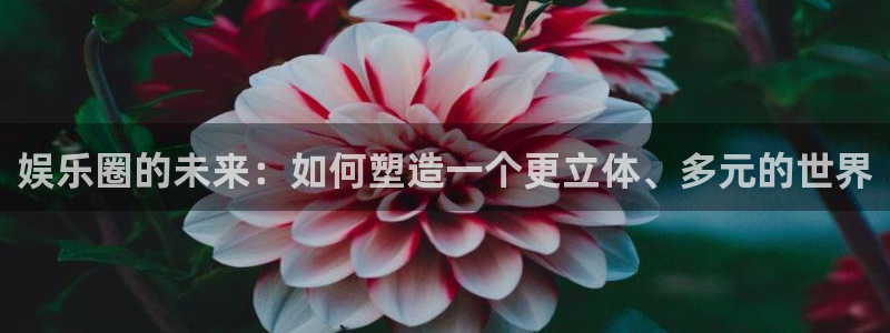 南宫大舞台官网入口：娱乐圈的未来：如何塑造一个更立体、多元的世界