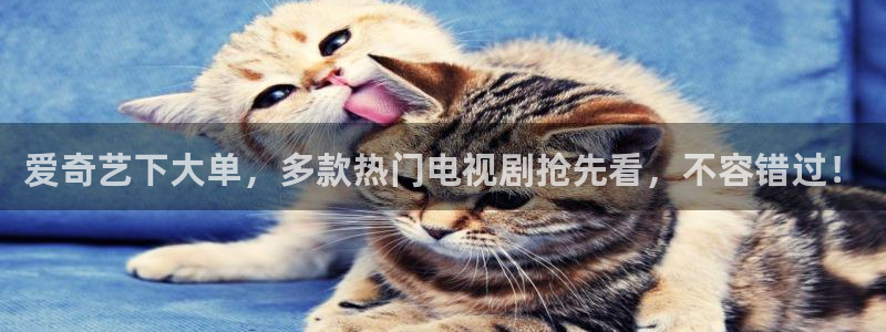 upload/20250701114914.jpg