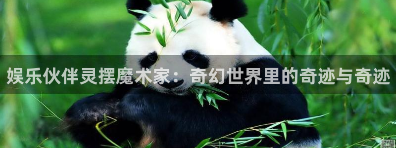 南宫大舞台：娱乐伙伴灵摆魔术家：奇幻世界里的奇迹与奇迹